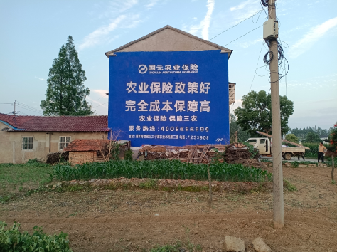 温县墙体广告的优劣势你知道吗？